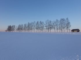 北海道