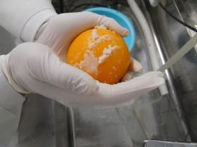 オレンジの皮の防かび剤除去テスト