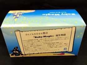 景表法違反を指摘されたベビーマジック持ち帰り箱