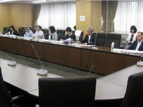 消費者庁地方消費者行政強化作戦2020の策定に関する懇談会