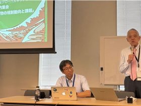 食品安全グローバルネットワーク院内集会
